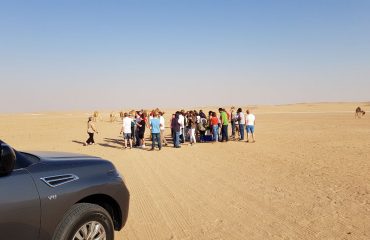 Dubai-Safari-Plus-Camel-Rock-Safari-Maliha