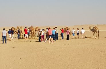 Dubai-Safari-Plus-Camel-Rock-Safari-Maliha