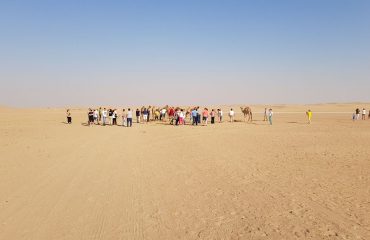 Dubai-Safari-Plus-Camel-Rock-Safari-Maliha