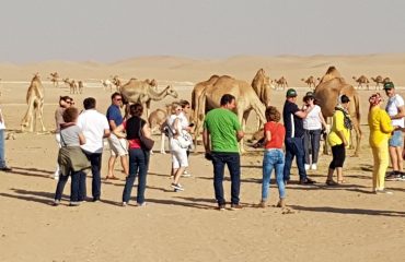 Luxury-Dubai-Tour-Camel-Rock-Safari-Maliha