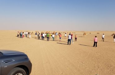 Dubai-Safari-Plus-Camel-Rock-Safari-Maliha