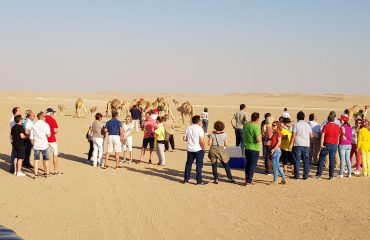 Dubai-Safari-Plus-Camel-Rock-Safari-Maliha