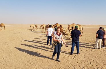 Dubai-Safari-Plus-Camel-Rock-Safari-Maliha