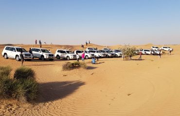 Dubai-Safari-Plus-Camel-Rock-Safari-Maliha