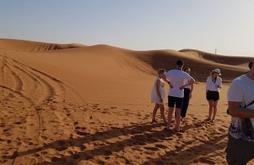 Dubai-Safari-Plus-Camel-Rock-Safari-Maliha