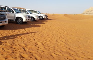 Dubai-Safari-Plus-Camel-Rock-Safari-Maliha