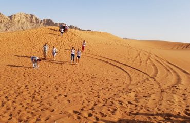 Dubai-Safari-Plus-Camel-Rock-Safari-Maliha