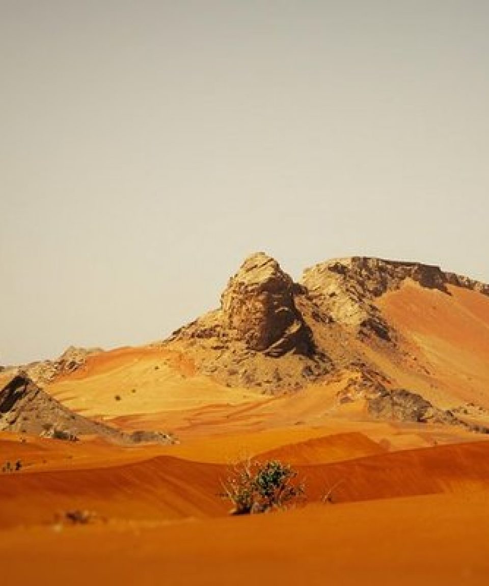 camel Rock Safari maliha